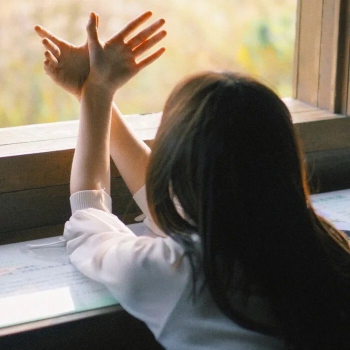 今晚是寿喜烧哦