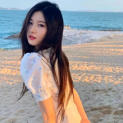 笨蛋的悲剧人生